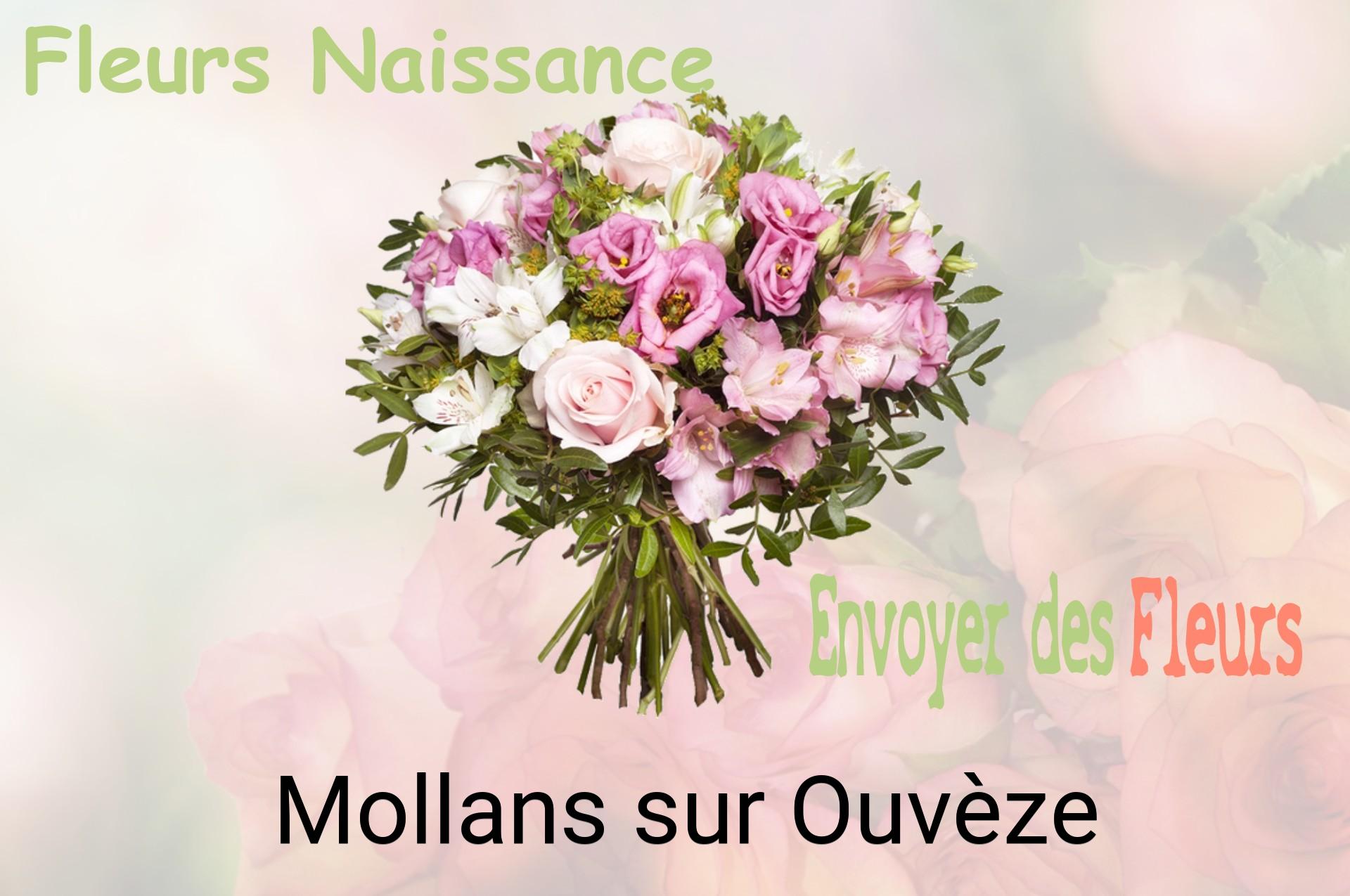 Bouquet de fleurs de naissance livré à Mollans-sur-Ouvèze